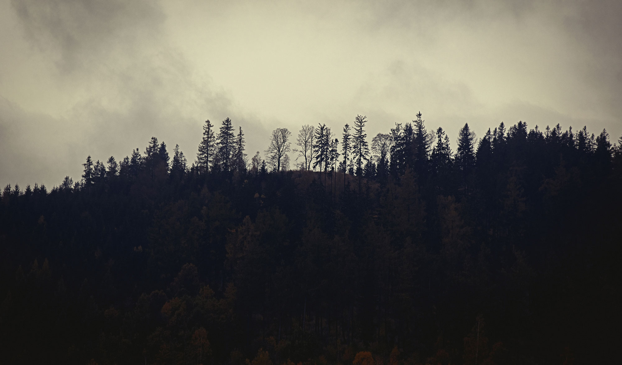 bg-inspirations-eyesofcam
