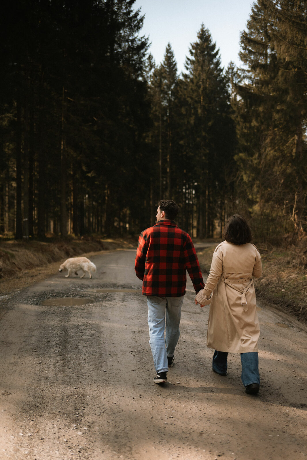 Couple de dos main dans la main sur un chemin de terre en forêt de conifères, leur chien au pelage clair un peu plus loin